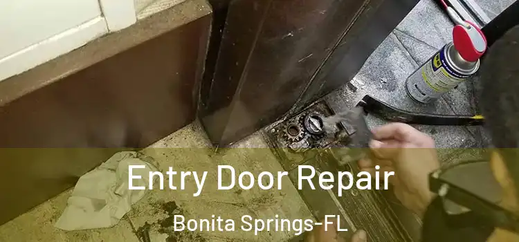  Entry Door Repair Bonita Springs-FL