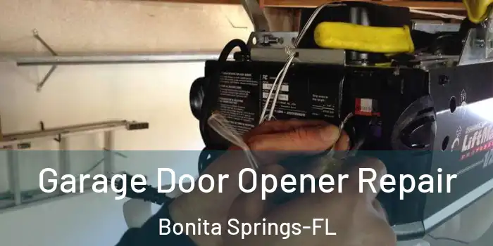  Garage Door Opener Repair Bonita Springs-FL