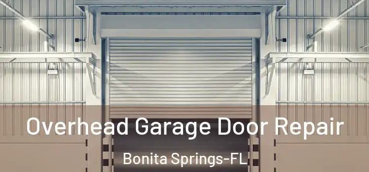  Overhead Garage Door Repair Bonita Springs-FL