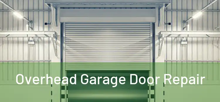  Overhead Garage Door Repair 